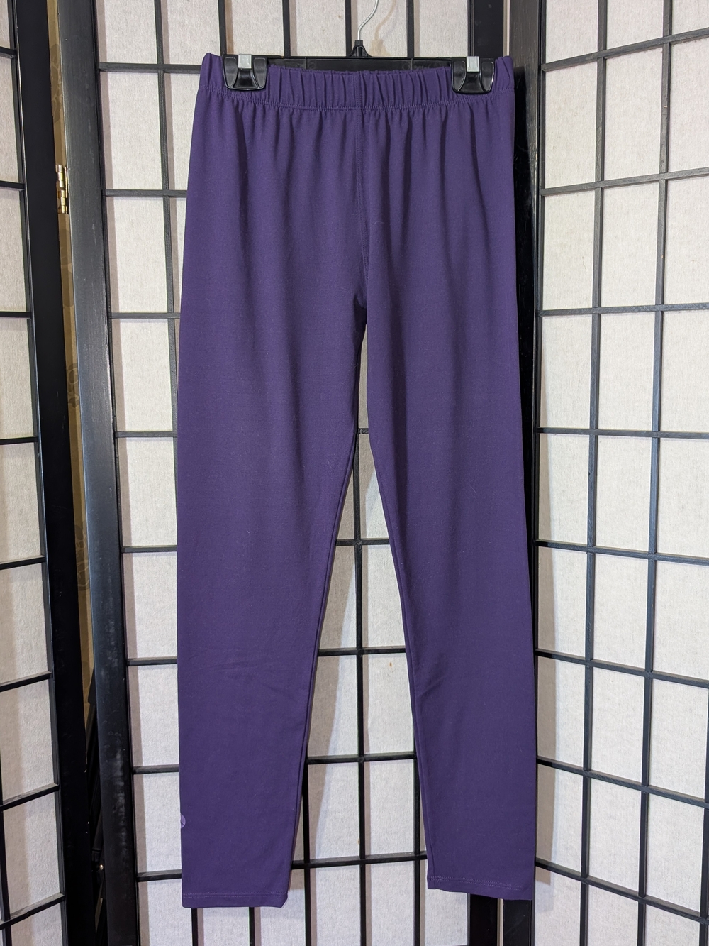 SweetLegs Purple Leggings O/S